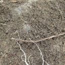 봉평농장 이미지