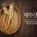 아잉 샵 이미지