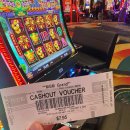 San Francisco &amp; Las Vegas (2025. 2. 17.~28.) (3)