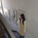미어패럴 이미지