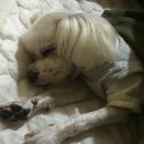 선암한옥펜션 이미지