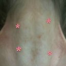 서정동물병원 이미지