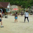 홍천산양산삼