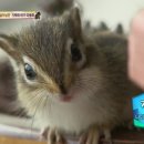 장평농장 이미지