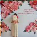 소랑꽃 이미지