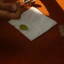 이오비즈 이미지