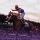 부마호프 이미지