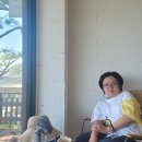 삼형제봉길펜션 | 인천 신시모도 여행 후기｜모도 시도 신도와 강화도 여름휴가 추천