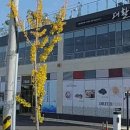 신선활어소매점 이미지