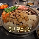 뿔난황소곱창 | [홍대입구역 맛집] 퀄리티 좋은 소곱창 맛집! &#34;뿔난황소곱창 홍대점&#34; 후기!!