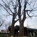 칠사당 화장실 이미지