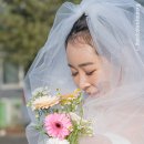 야외 웨딩스냅 후기｜새싹은 없었지만 사랑은 가득했던 날