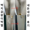 벽지 곰팡이 제거 닥터클린 초강추 100% 내돈내산 후기