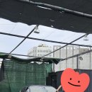 유니손세차 | 김포손세차- 비오는날, 시야 확보필수 풍무동 유니손세차 유막제거&amp;발수 후기