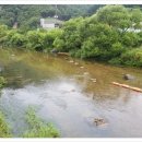 양평믿음공인중개사사무소 이미지