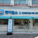 강아지 이발소 이미지