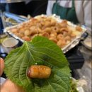꼬숩 네이버블로그