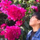 안성 음악학원 이미지