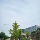 장흥1리 마을회관 이미지