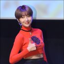 뿜뿜 이미지