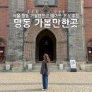 (주)라인호텔명동 | 서울 명동 가볼만한곳 추천 명동성당 놀거리 데이트 코스 가챠샵