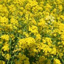 남해-108 이미지