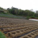 차리농장 이미지