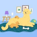 청사동물메디컬센타 이미지