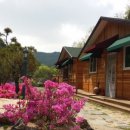 금산별빛팬션민박 이미지