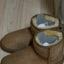 화세탁 | 레더체인지 ㅣ 헌 어그 보냈더니 새 어그로 돌아온 후기 (택배 수거 어그 세탁)