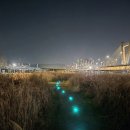 숲뜰근린공원 | 🌿세종시 경관조명 설치 사례 | 숲뜰근린공원 태양광 LED 조명설치