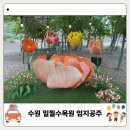 일월수목원 스탬프 엄지공주 특별전시 후기 입장료 주차 야간개장 총정리