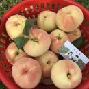 안평마트앞(51166) | 봄날의 대만이야기 🇹🇼 - 12. 블루프린트 문화창의공원, 타이난 -> 타이베이 THSR , MRT 타기