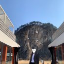 지정면 (장지동)
