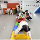 세정태권도