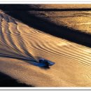 순천만 풍경 이미지