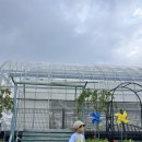 세곡농장 이미지