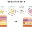 (주)예미원