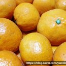 홍순농장 이미지