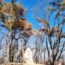 녹동리 | [블챌] 왓츠인마이블로그 13. 울산 북구 등산하기/편백 산림욕장과 천마산/ 등산 초심자도 즐기는...