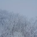 인제16-2 이미지