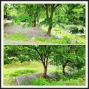 오션파크 민박 이미지