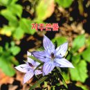 지리산둘레길 산청군 (운리~웅석봉~성심원) 산행기 [261010, GPX 유첨] 이미지