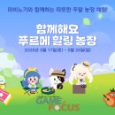 청년체험농장