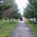 길림농장 이미지