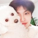 박초코 이미지