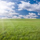 대한2 태양광발전소 이미지