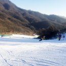 스타힐리조트