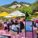 (11/19)프랑스자수 꽃자수 파우치 만들기 | 2026 불암산 철쭉제 총정리! 공연 일정, 주차장, 행사장 한눈에