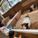 송산목장 이미지